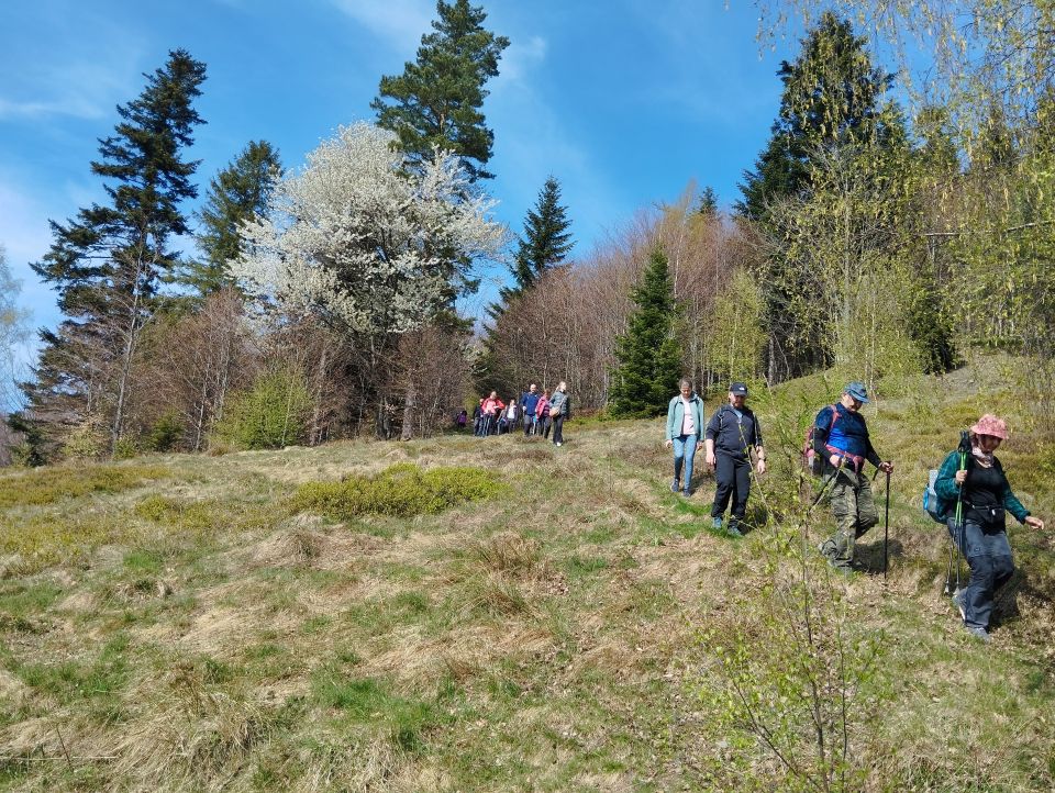 Wycieczka w Beskid Mały dz99 - PTTK Strzelin