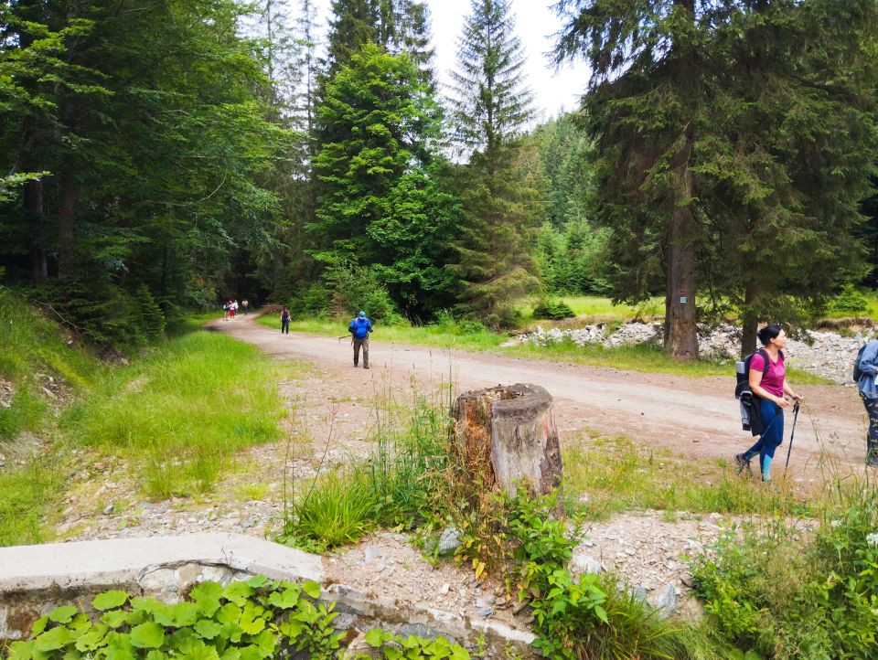 Wycieczka w Góry Bialskie s11 - PTTK Strzelin