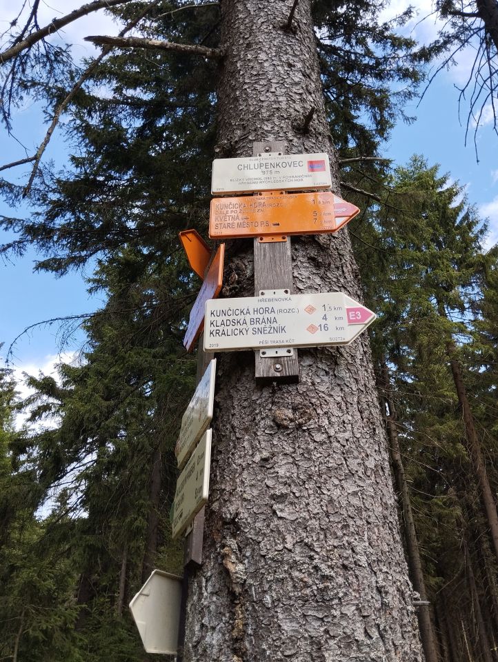 Wycieczka w Góry Bialskie s51 - PTTK Strzelin