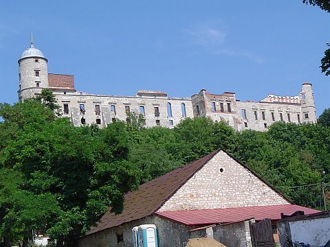 Zamek w Janowcu