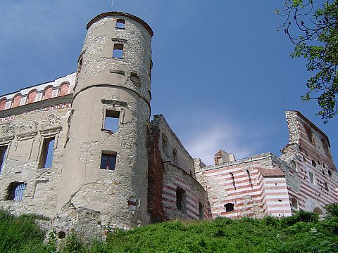 Zamek w Janowcu