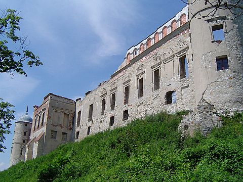Zamek w Janowcu
