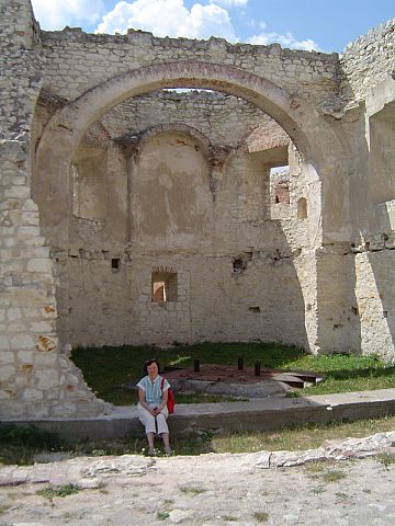 Janowiec nad Wis�� - zamek