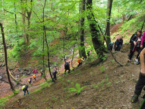 Wycieczka Malá Fatra s25 - PTTK Strzelin