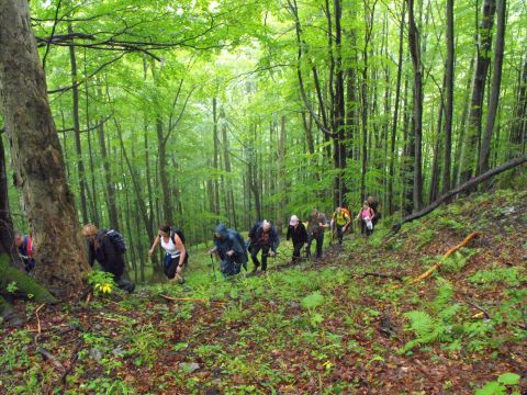 Wycieczka Malá Fatra s27 - PTTK Strzelin