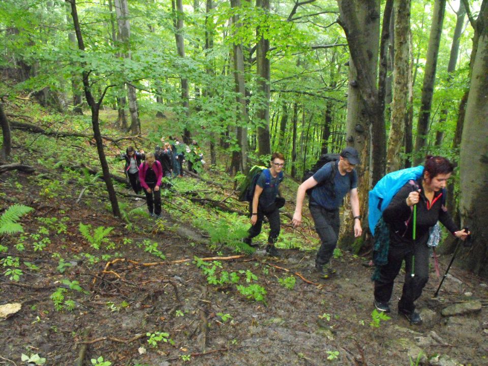Wycieczka Malá Fatra s004 - PTTK Strzelin