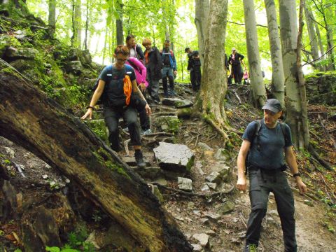 Wycieczka Malá Fatra s30 - PTTK Strzelin