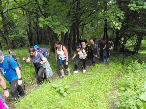 Wycieczka Malá Fatra s35 - PTTK Strzelin