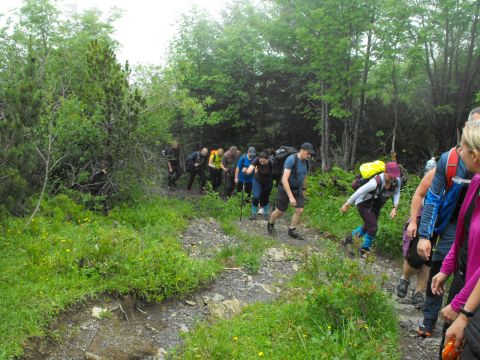Wycieczka Malá Fatra s56 - PTTK Strzelin