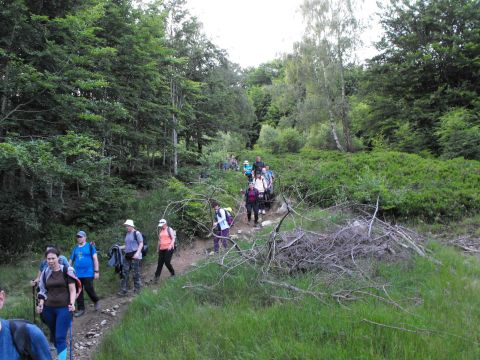 Wycieczka Malá Fatra s149 - PTTK Strzelin