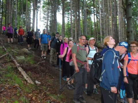 Wycieczka Malá Fatra s156 - PTTK Strzelin