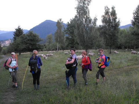 Wycieczka Malá Fatra s159 - PTTK Strzelin