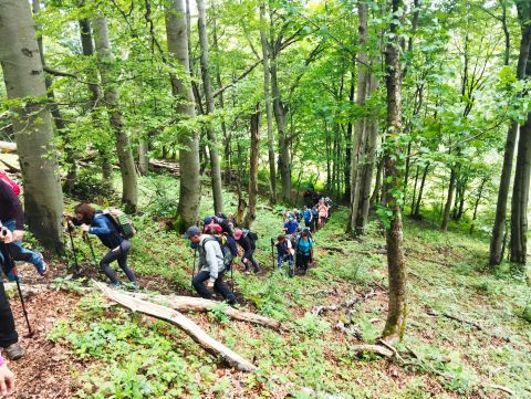 Wycieczka Malá Fatra s31 - PTTK Strzelin