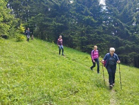 Wycieczka Malá Fatra s48 - PTTK Strzelin
