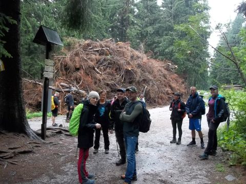 Wycieczka Orlické hory s24 - PTTK Strzelin