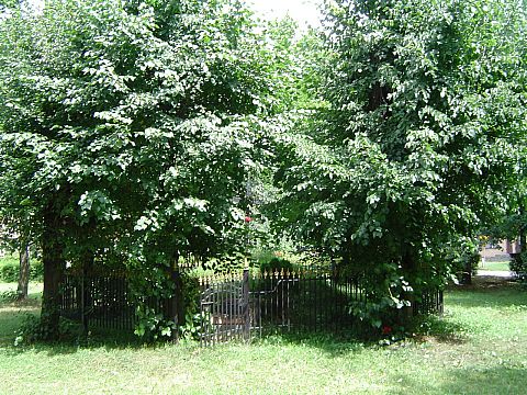Grabowiec - mogi�a �o�nierzy poleg�ych w I wojnie �wiatowej