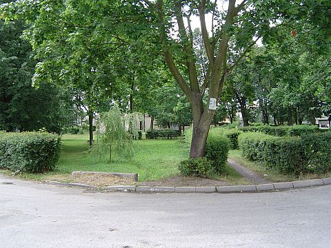 Grabowiec - Rynek - park