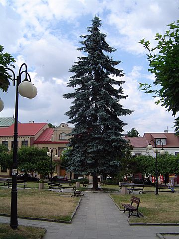 I��a - Rynek