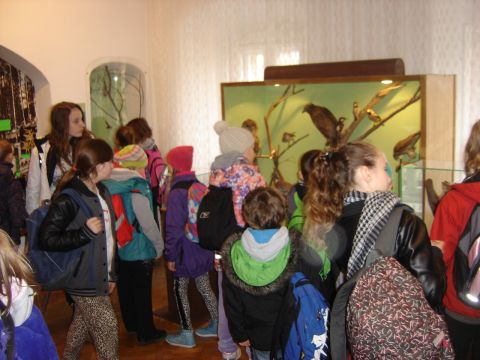 Rajd na �l�� - Muzeum �l�a�skie w Sob�tce s032 - PTTK Strzelin