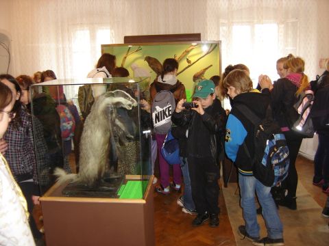 Rajd na �l�� - Muzeum �l�a�skie w Sob�tce s034 - PTTK Strzelin