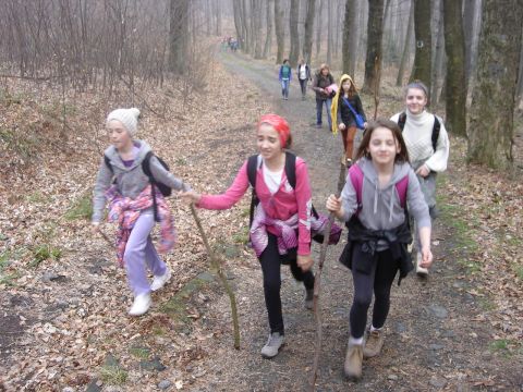 Rajd na �l�� - na szlaku czerwonym s051 - PTTK Strzelin