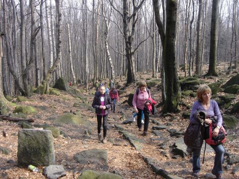Rajd na �l�� - na szlaku czerwonym s075 - PTTK Strzelin