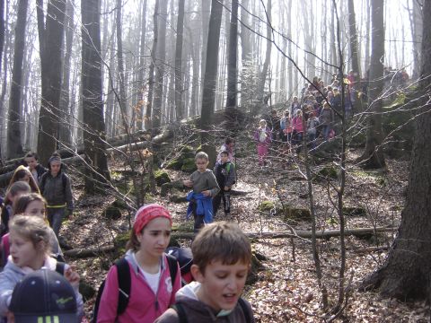 Rajd na �l�� - szlak czerwony do Sulistrowiczek s122 - PTTK Strzelin