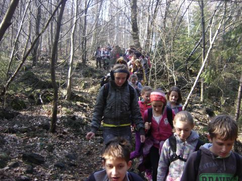 Rajd na �l�� - szlak czerwony do Sulistrowiczek s123 - PTTK Strzelin