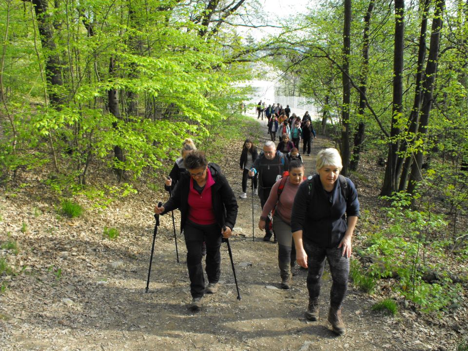 32. Rajd w Masyw Ślęży s002 - PTTK Strzelin