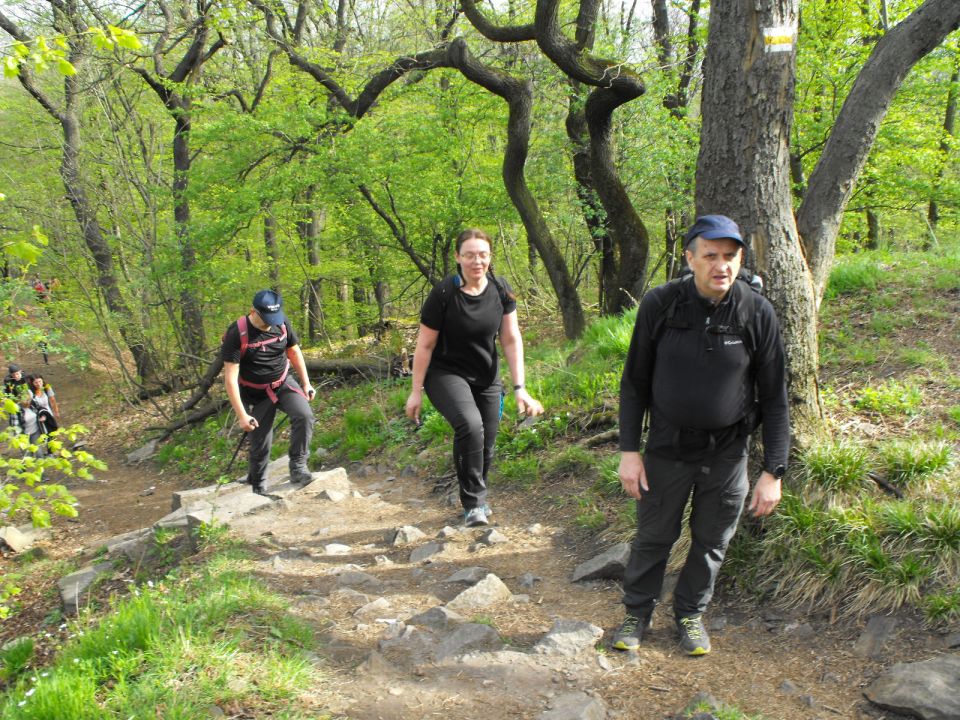 32. Rajd w Masyw Ślęży s002 - PTTK Strzelin