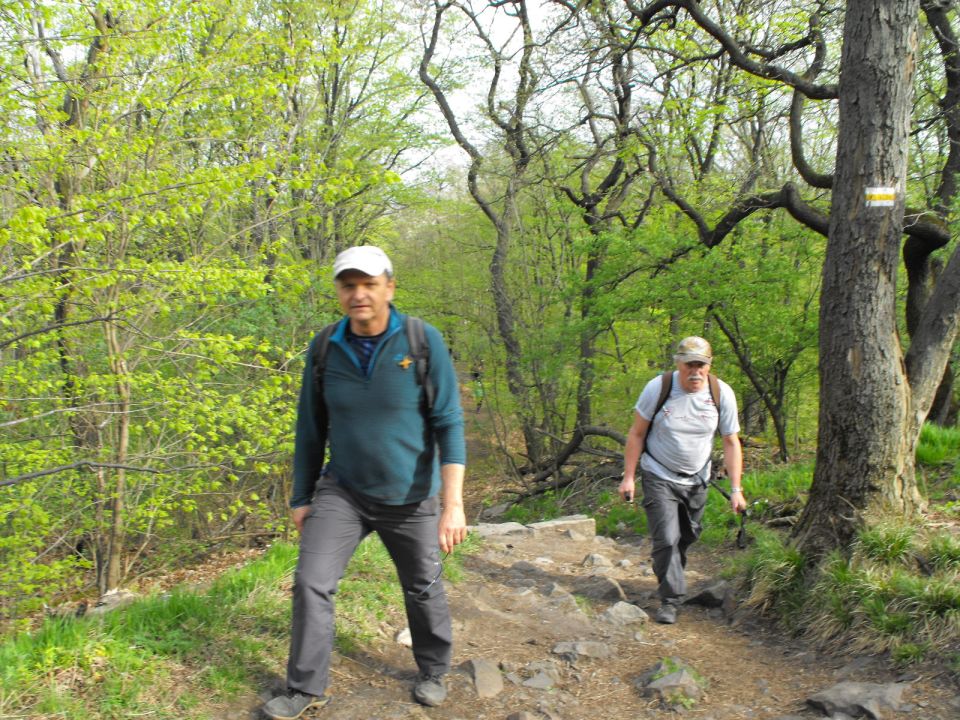 32. Rajd w Masyw Ślęży s002 - PTTK Strzelin