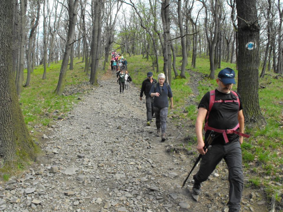 32. Rajd w Masyw Ślęży s002 - PTTK Strzelin