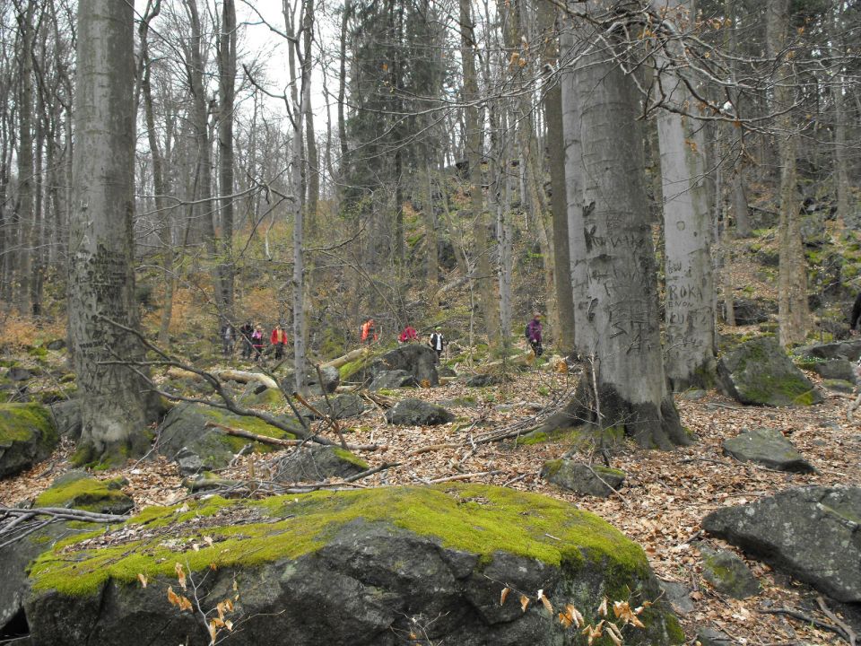 32. Rajd w Masyw Ślęży s002 - PTTK Strzelin