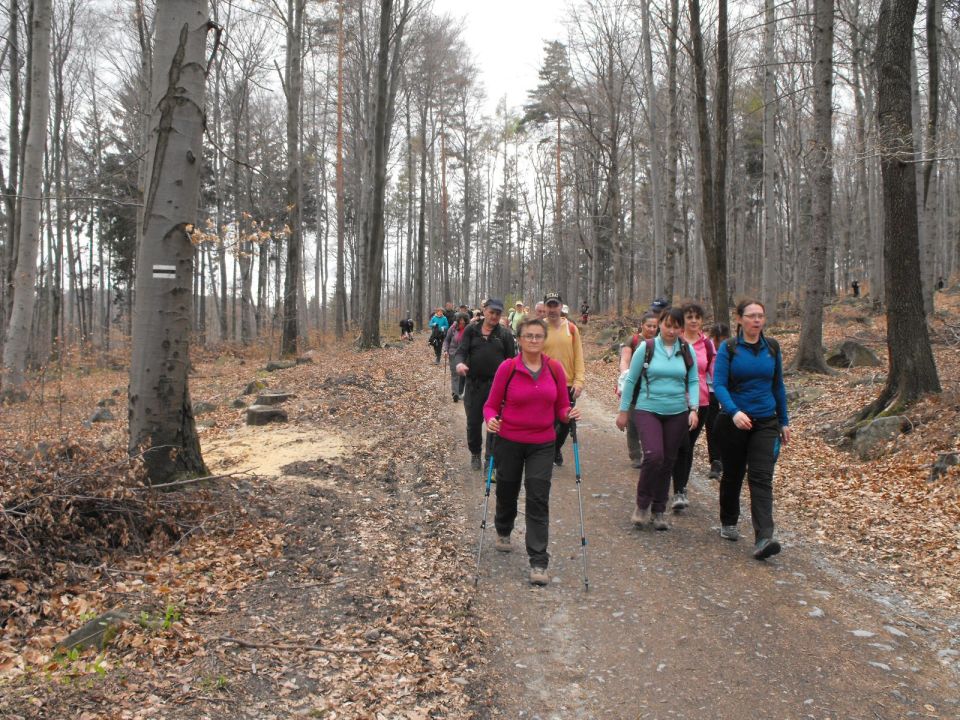 32. Rajd w Masyw Ślęży s002 - PTTK Strzelin