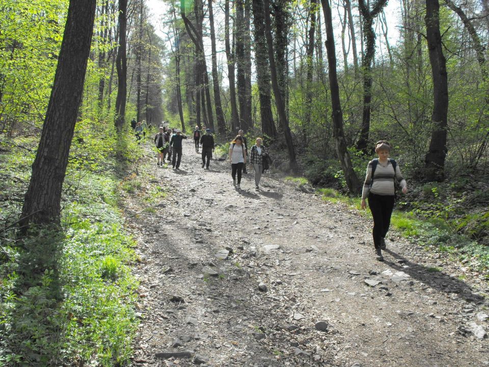 32. Rajd w Masyw Ślęży s002 - PTTK Strzelin
