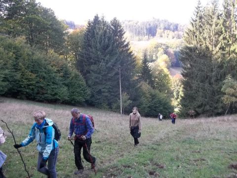 Wycieczka w Góry Sowie s18 - PTTK Strzelin