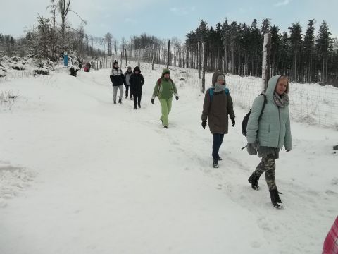 Wycieczka w Góry Sowie s82 - PTTK Strzelin