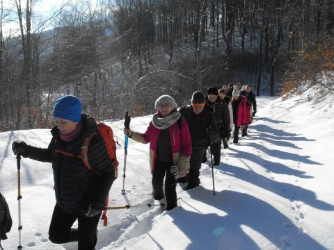 Wycieczka w Góry Sowie s23 - PTTK Strzelin