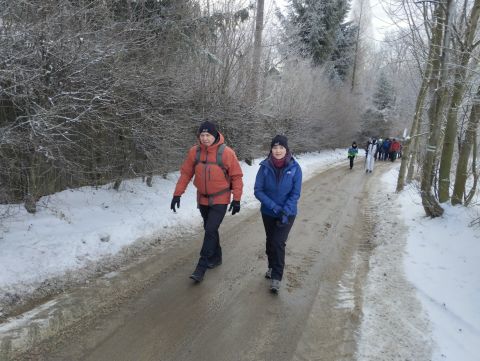Wycieczka w Góry Sowie s17 - PTTK Strzelin