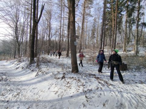 Wycieczka w Góry Sowie s37 - PTTK Strzelin