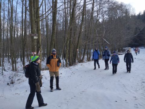 Wycieczka w Góry Sowie s41 - PTTK Strzelin