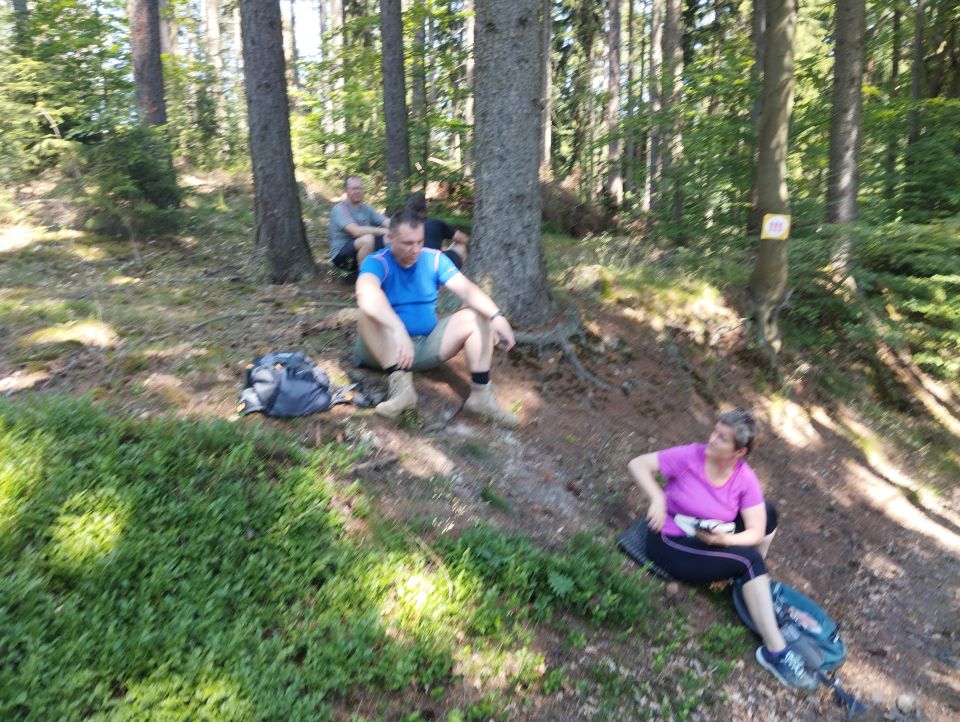 Wycieczka w Góry Sowie s26 - PTTK Strzelin