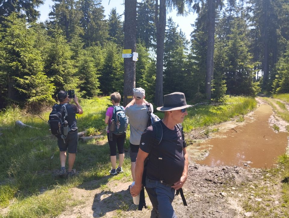 Wycieczka w Góry Sowie s55 - PTTK Strzelin