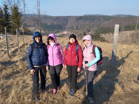 Wycieczka w Góry Stołowe s118 - PTTK Strzelin