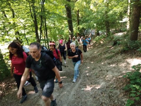 Wycieczka w Góry Bardzkie s5 - PTTK Strzelin