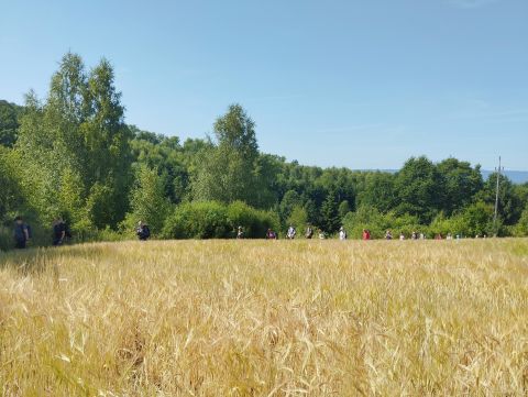 Wycieczka w Góry Bardzkie s12 - PTTK Strzelin