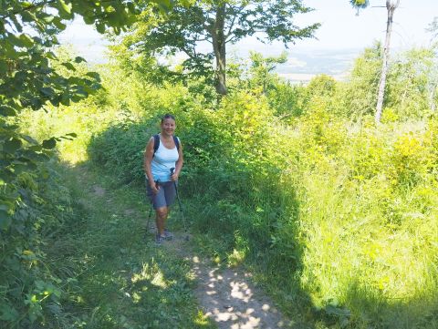 Wycieczka w Góry Bardzkie s42 - PTTK Strzelin