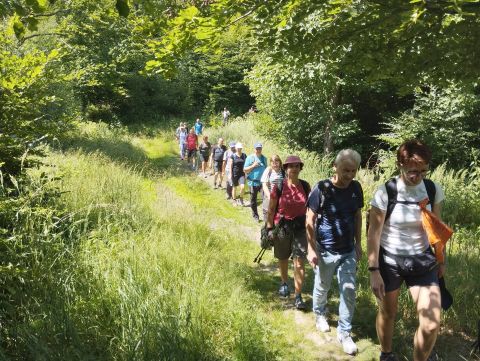 Wycieczka w Góry Bardzkie s51 - PTTK Strzelin