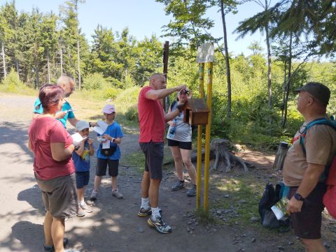Wycieczka w Góry Bardzkie s55 - PTTK Strzelin
