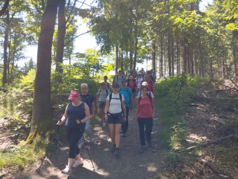 Wycieczka w Góry Bardzkie s77 - PTTK Strzelin